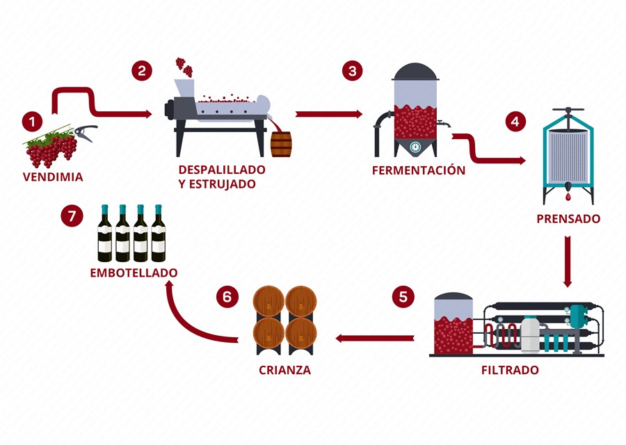 Cómo se hace el vino tinto - Coviman